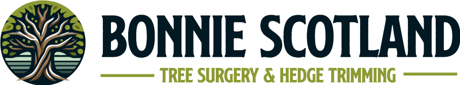 My Bonnie Scotland Logo