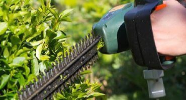 HEDGE CUTTING & MAINTENANCE